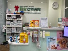 -悦宠凯宝动物医院·牙科·皮肤科(朝阳北路店)