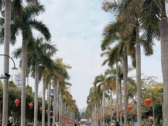 -厦门大学(思明校区)