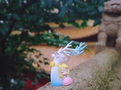 -狼山风景名胜区