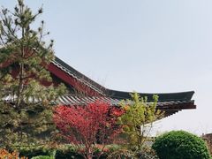 -唐御宴•御宴宫•唐代菜点(芙蓉西路店)