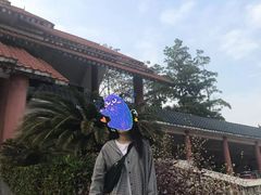 -大屏嶂森林公园
