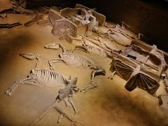 -洛阳周王城天子驾六博物馆