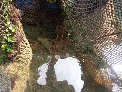 -海上驿站渔家菜馆