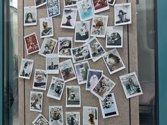 -达爱动物医院·犬猫分区·CT·复杂眼科(远洋山水分院)