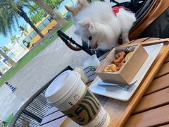-星巴克(珠海仁恒滨海中心店)