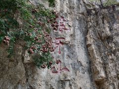 -狼牙山风景区