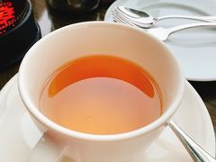 -无锡苏宁JW万豪酒店-大堂酒廊