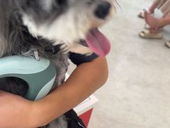-纳吉亚猫专科动物医院·北北分院
