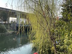-澹台湖公园