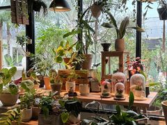 -自由生长植物工作室(深港花卉中心店)