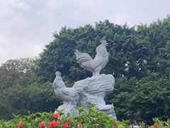-金鸡山公园