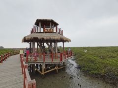 -北海金海湾红树林生态旅游区