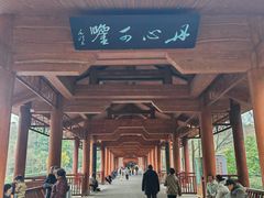-重庆彩云湖湿地公园