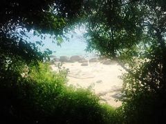 -玫瑰海岸文化旅游度假区