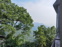 -城外有星光桥舍(南山店)