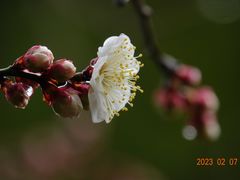 -静安雕塑公园