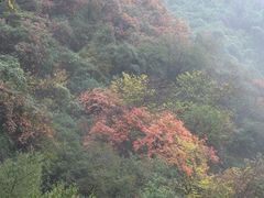 -太平万花山景区