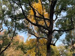 -申粤轩酒楼·三十年粤菜经典(丁香花园店)