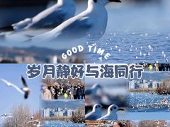 -海埂大坝