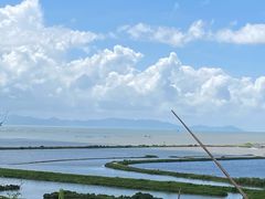 -那琴半岛地质海洋公园