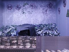 -星空失恋博物馆(北京路旗舰店)