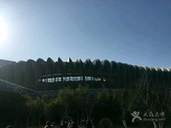 -奥体中心游泳馆