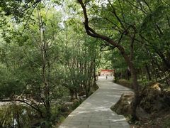 -牛背梁国家森林公园