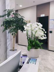 -上海漾颜医疗美容