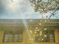 -杭州上天竺法喜讲寺