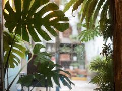 -大水的店(昙华林店)