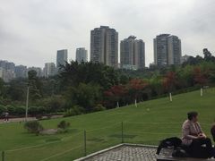 -龙头寺公园