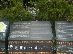 -莲花山公园