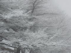 -崂山巨峰游览区