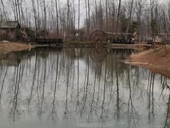 -合肥滨湖国家森林公园