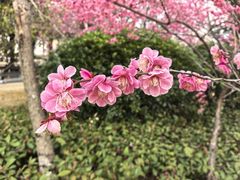 -灵秀公园