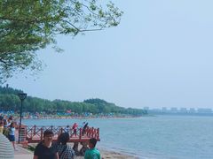 -丁香湖公园