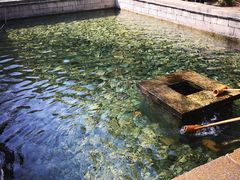 -竹泉村旅游度假区
