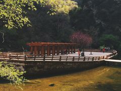 -少华山国家森林公园