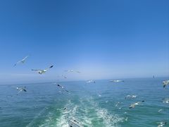 -海驴岛(荣成市)