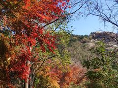 -崂山巨峰游览区