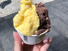 -柠檬车露(卖草地店)
