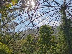 -西双版纳原始森林公园
