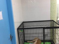 -瑞鹏宠物医院华南总院·夜诊·心脏科·骨科