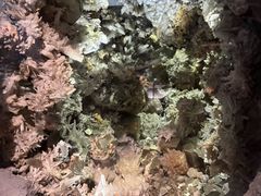 -湖南省地质博物馆