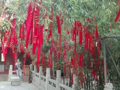 -兴教寺