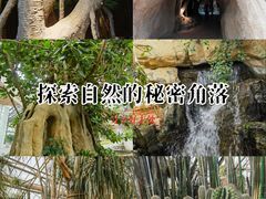 -南山植物园