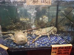 -大门水乡·顺德菜