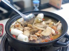 -蘑统田下·野生菌火锅