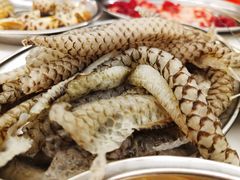鱼皮-朱富贵火锅(金融街万达店)