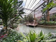 -南宫五洲植物乐园